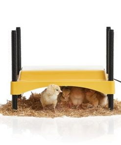 Brinsea EcoGlow Safety 600 Brooder