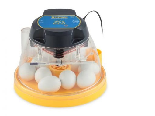 /Brinsea_Mini_IIECO_front
