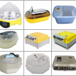 incubators