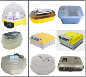 incubators