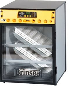 Incubator