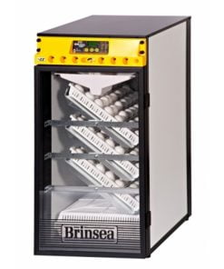 Incubator