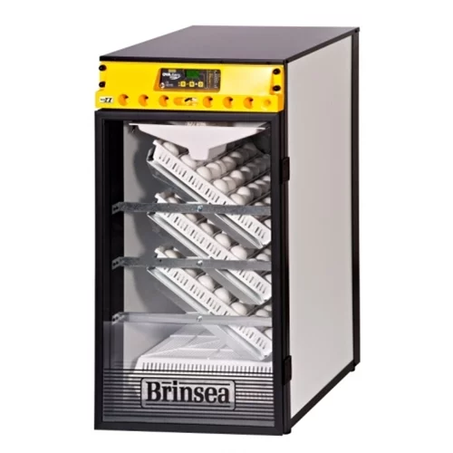 Incubator