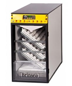 Incubator