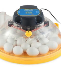 Brinsea Maxi II Eco Incubator