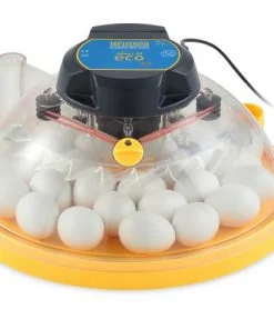 Brinsea Maxi II Eco Incubator