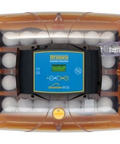 Brinsea_Ovation28ECO_top
