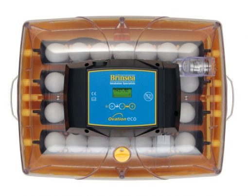 Brinsea_Ovation28ECO_top