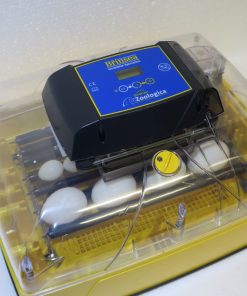 Brinsea Ovation 28 Zoologica Parrot Exotic Incubator